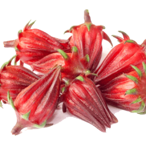 Sorrel (fresh & dried)
